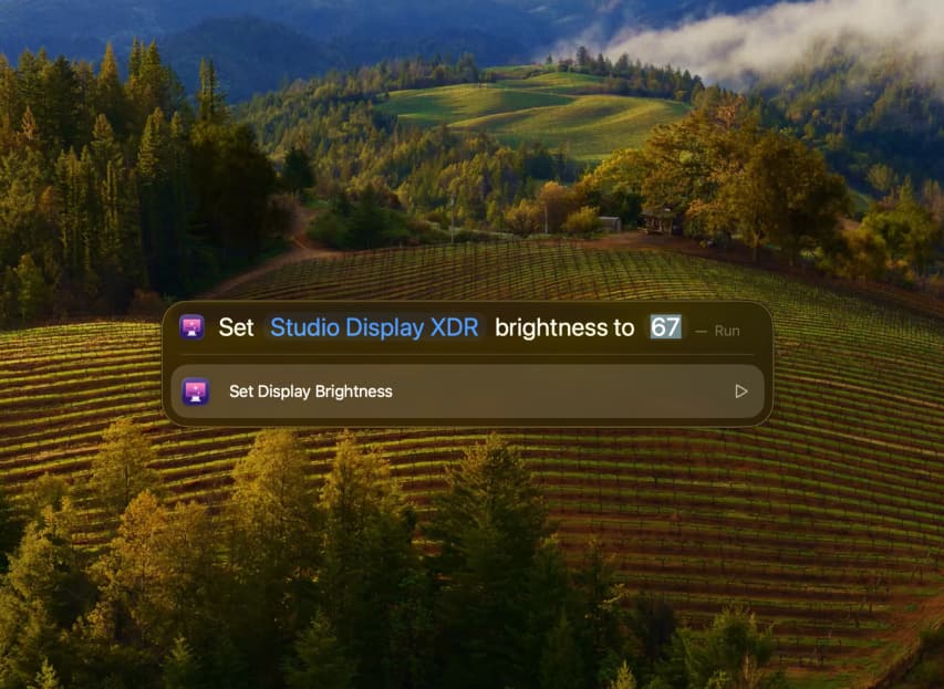 DisplayBuddy action in macOS Spotlight
