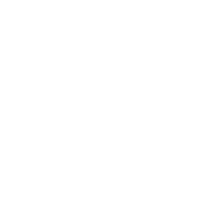 prism+ logo